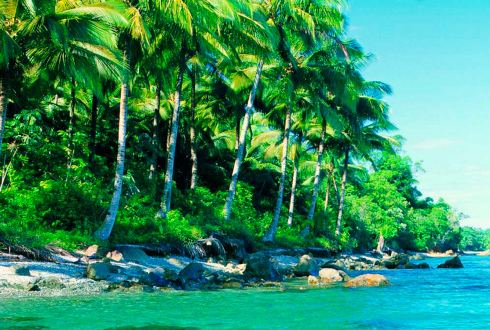 Dos de cada tres personas sufrirán escasez de agua en el 2050